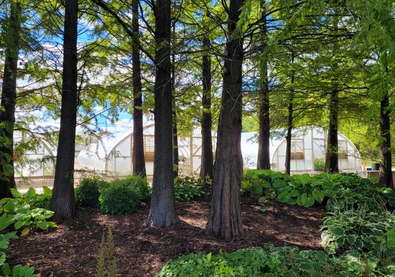 Trial Gardens - A section