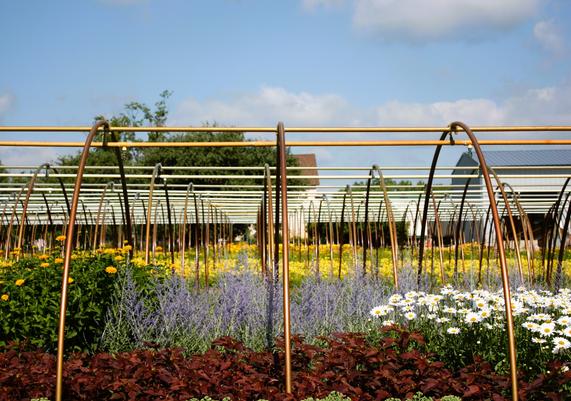 hoop houses